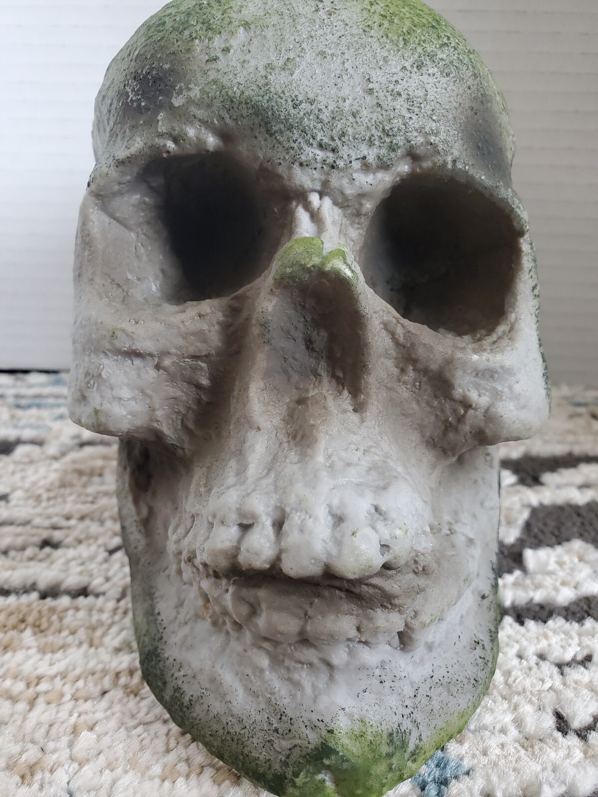 SPIRIT HALLOWEEN Store Exclusive 2020 corpse Prop SKULL from Jack’s Cave wicked