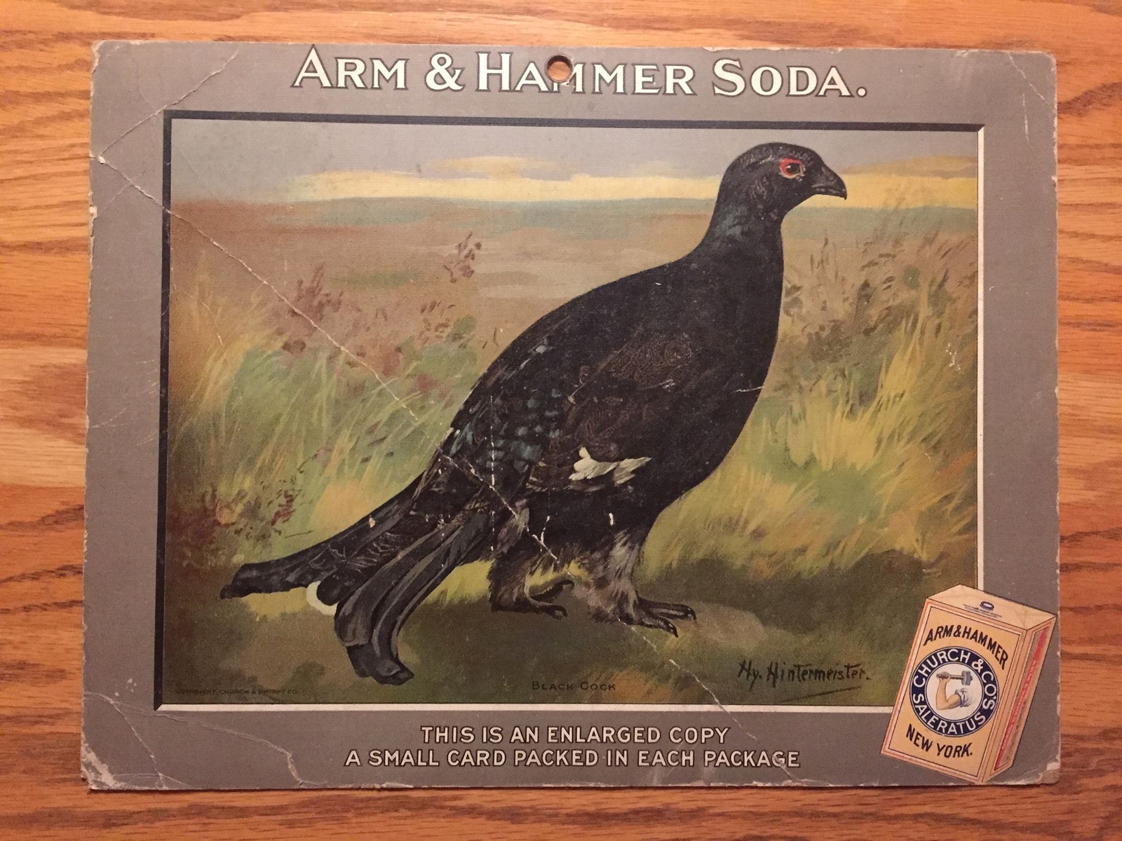 Birds – Arm & Hammer Advertising Store Display Card Sign – Black Cock J4