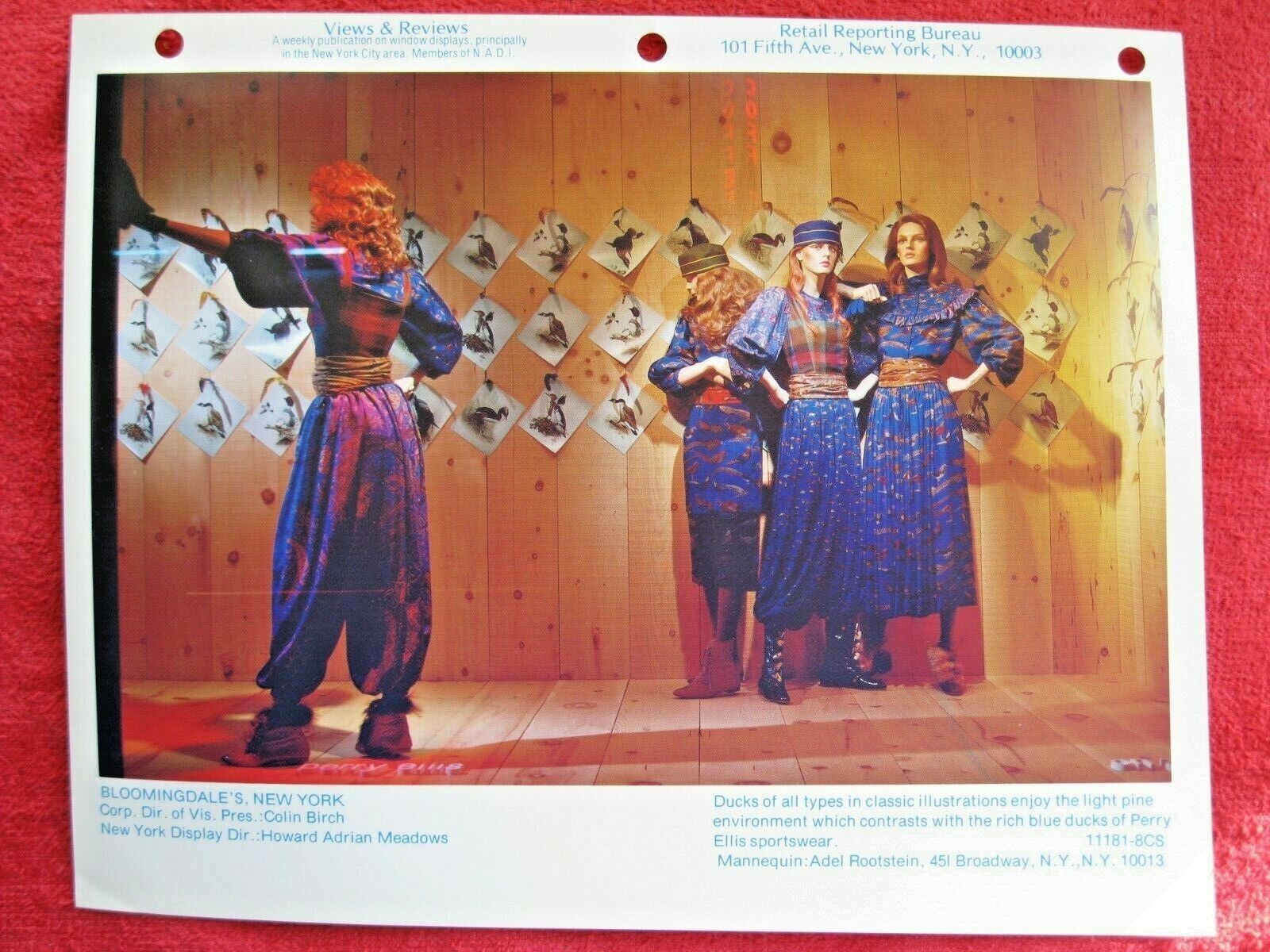 1981 BLOOMINGDALE’S STORE WINDOW DISPLAY ALL TYPES of DUCKS PHOTOGRAPH PRINT 106