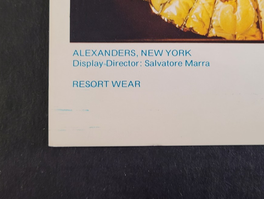 1976 ALEXANDERS, NEW YORK WINDOW DISPLAY PHOTO PRINT FOLLOW THE SUN
