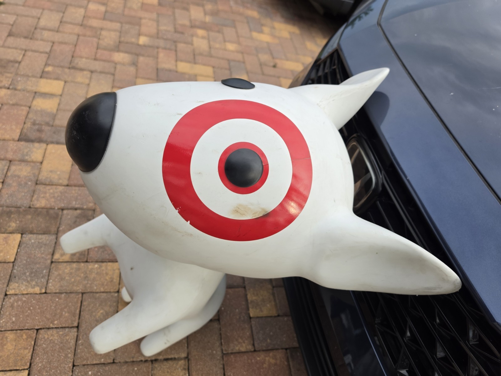 Bullseye Target Dog Mascot Giant Statue Store Display Mannequin Collectible READ