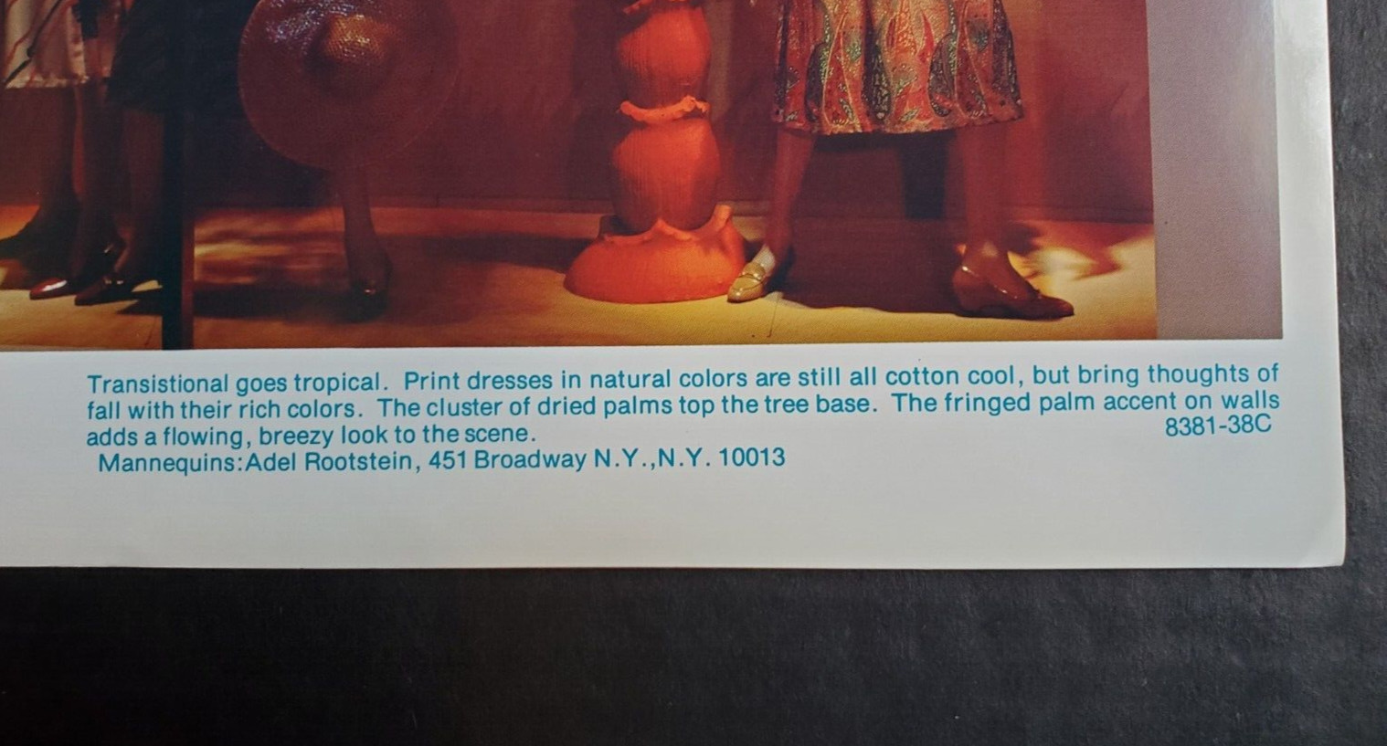 1980s LANE BRYANT NEW YORK WINDOW DISPLAY PHOTO PRINT TRANSITIONAL GOES TROPICAL