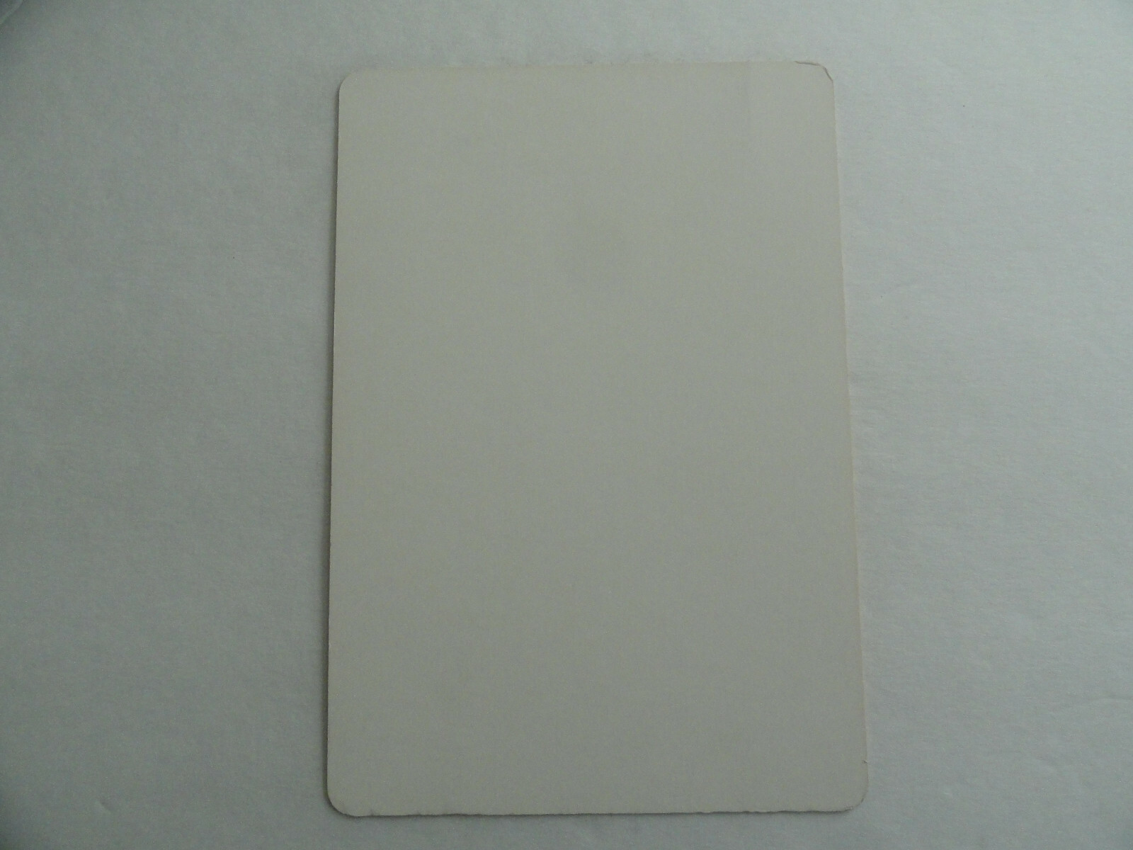 TEENAGE MUTANT NINJA TURTLES – BLOCKBUSTER VIDEO BACKER CARD 5″X8″ NO MOVIE