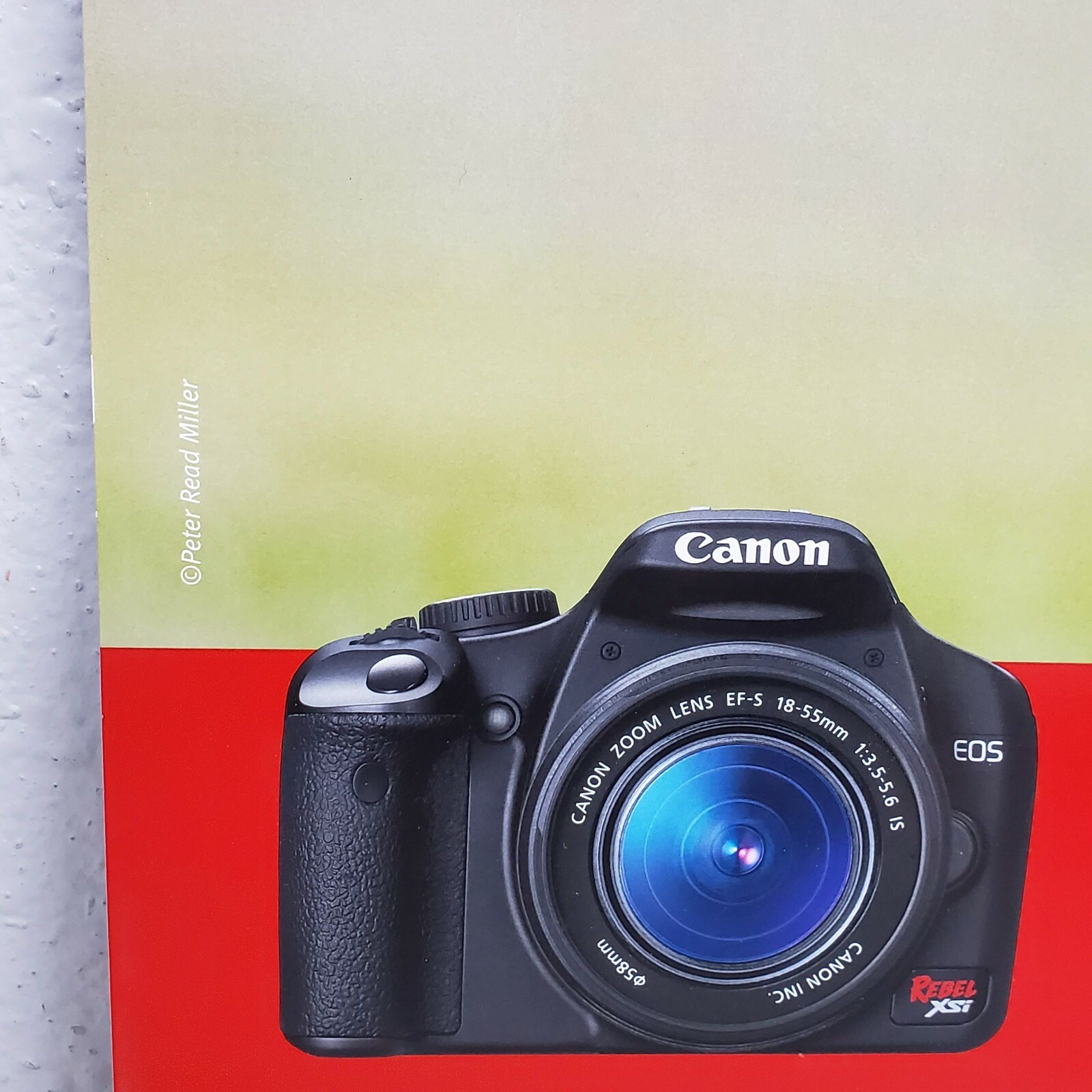 Canon Rebel XSi Camera Lens Store Dealer Display Sign Advertising Woman Football