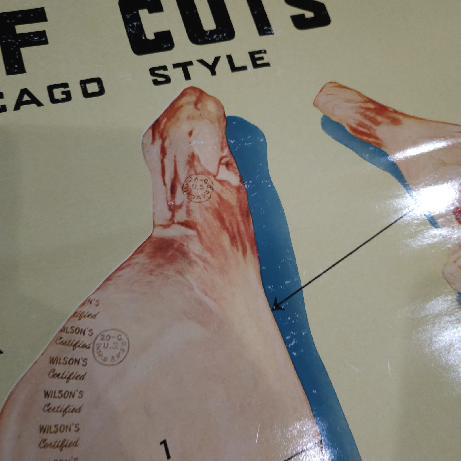 Vintage 1940s Wilson & Co. Beef Cuts Chart – Chicago Style Meat Poster 34½ x 22½