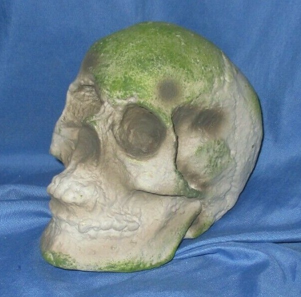 SPIRIT HALLOWEEN Store Exclusive 2020 Display Prop SKULL from Jack’s Cave