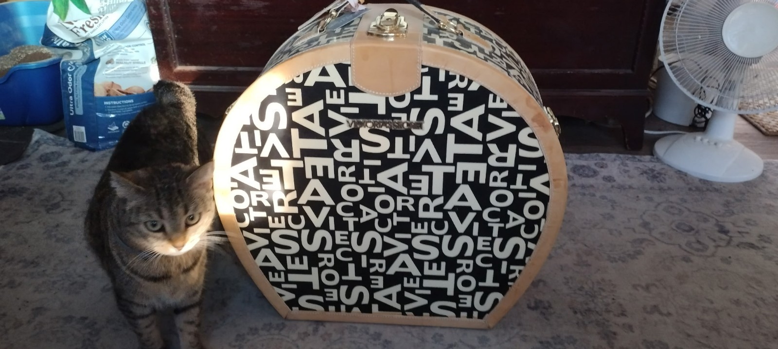 RARE VINTAGE Victoria’s Secret DISPLAY Luggage Trunk