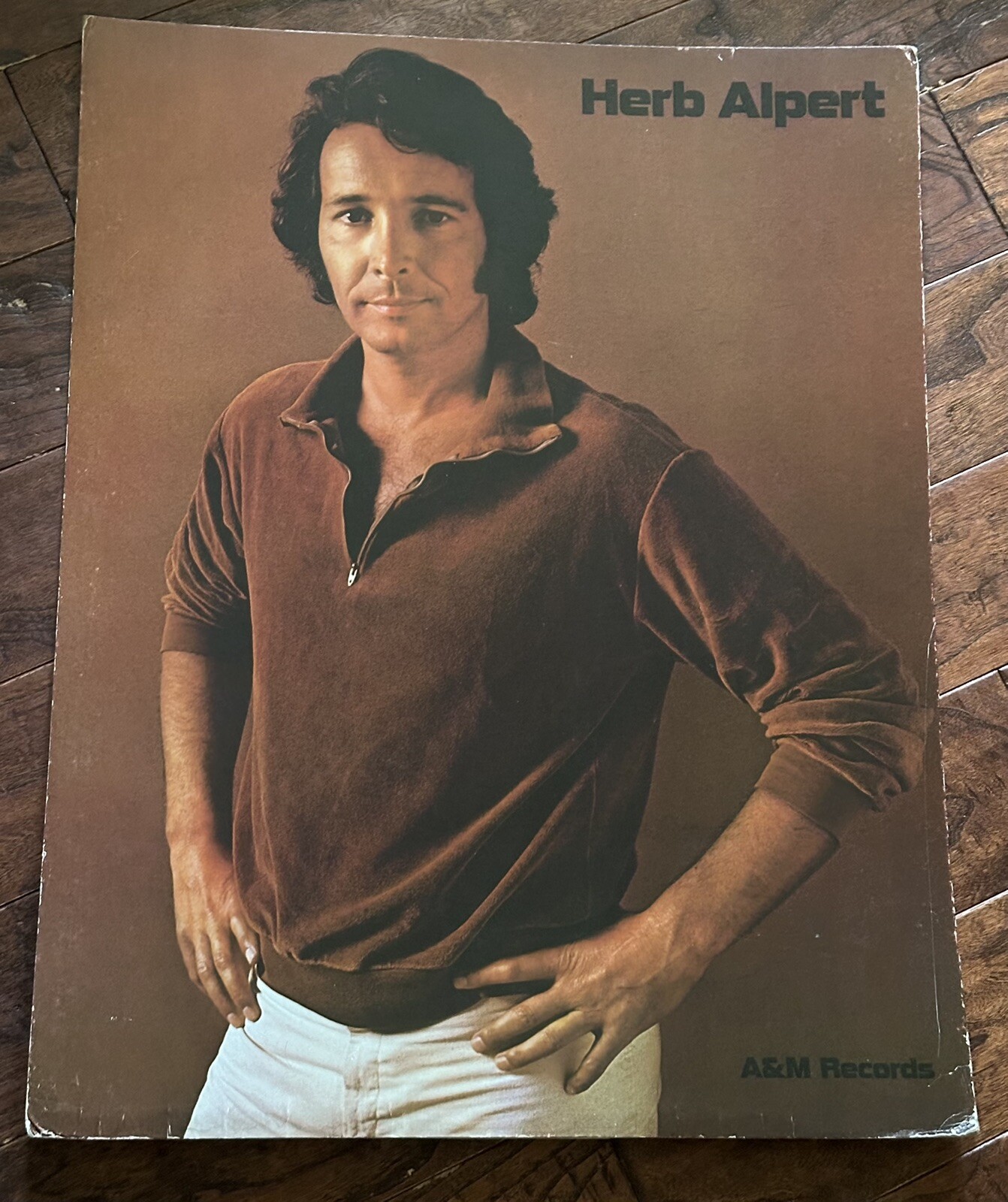 Herb Alpert Store Display A&M Records Album Promo Cardboard Rare Find 28” Stand