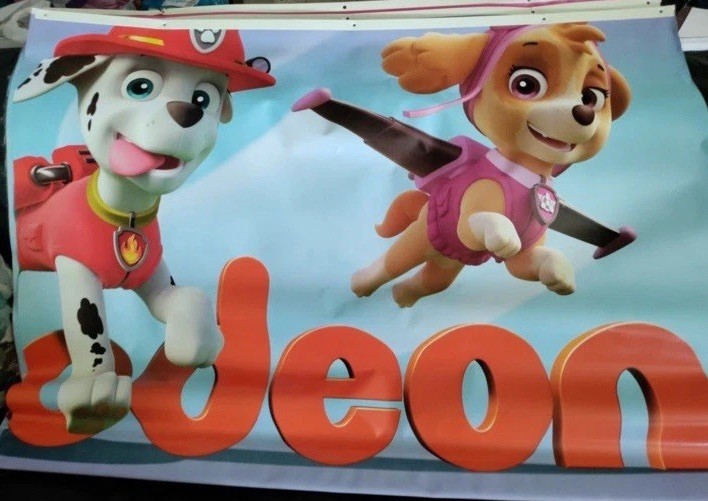 Set Of Toys R Us Nickelodeon Vinyl Banners Paw Patrol Shimmer And Shine