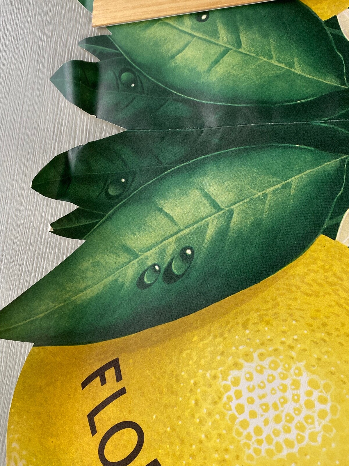 Vintage Florida Lemons Store Display Poster Yellow Fruit Die Cut Double Sided