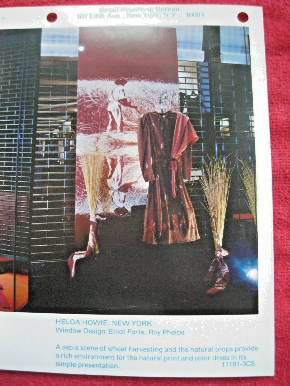 1981 DANA COTE D’AZUR & HELGA HOWIE NY STORE WINDOW DISPLAY PHOTOGRAPH PRINT 131
