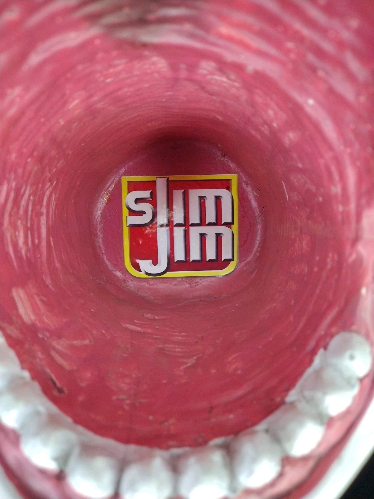 Slim Jim Collectible Jaws Great White Shark Head On A SILVER PLATER WITH STAND !