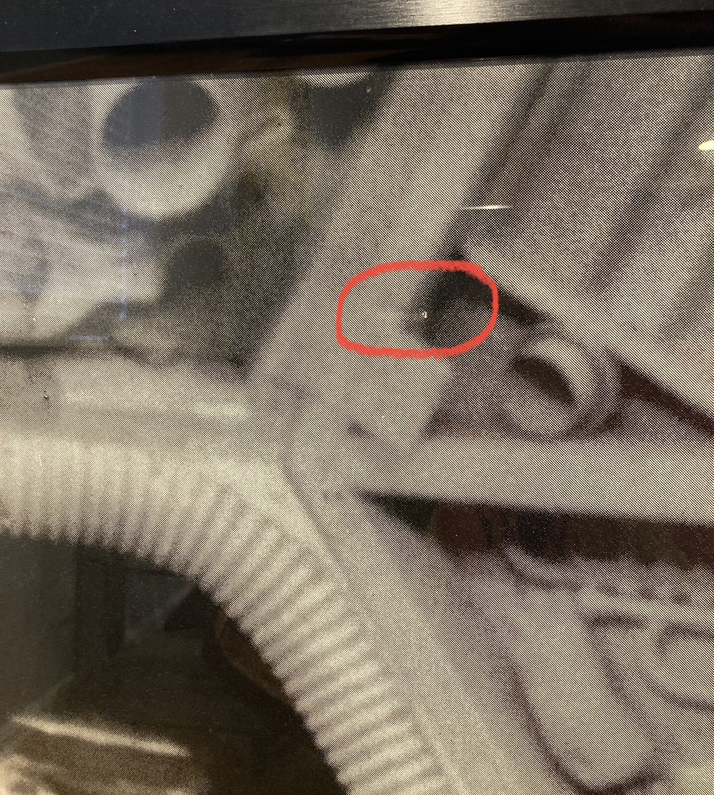 RARE Vintage MST3K Suncoast B&W In-store Display Mystery Science Theater 3000 