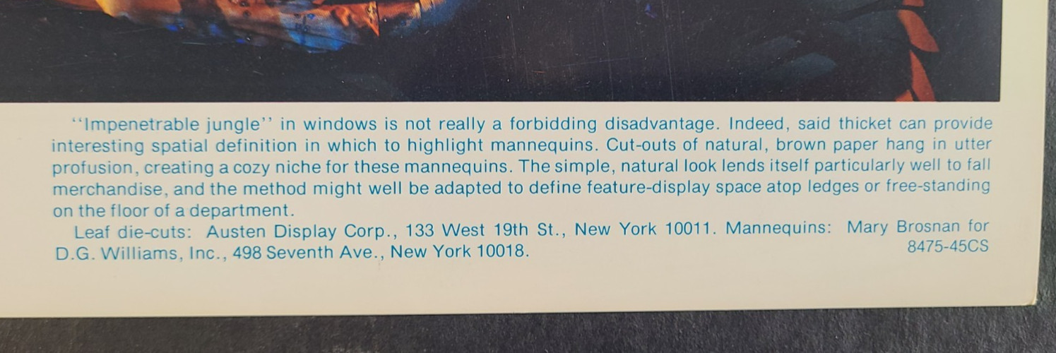 1975 PECK & PECK, NY WINDOW DISPLAY PHOTO PRINT IMPENETRABLE JUNGLE