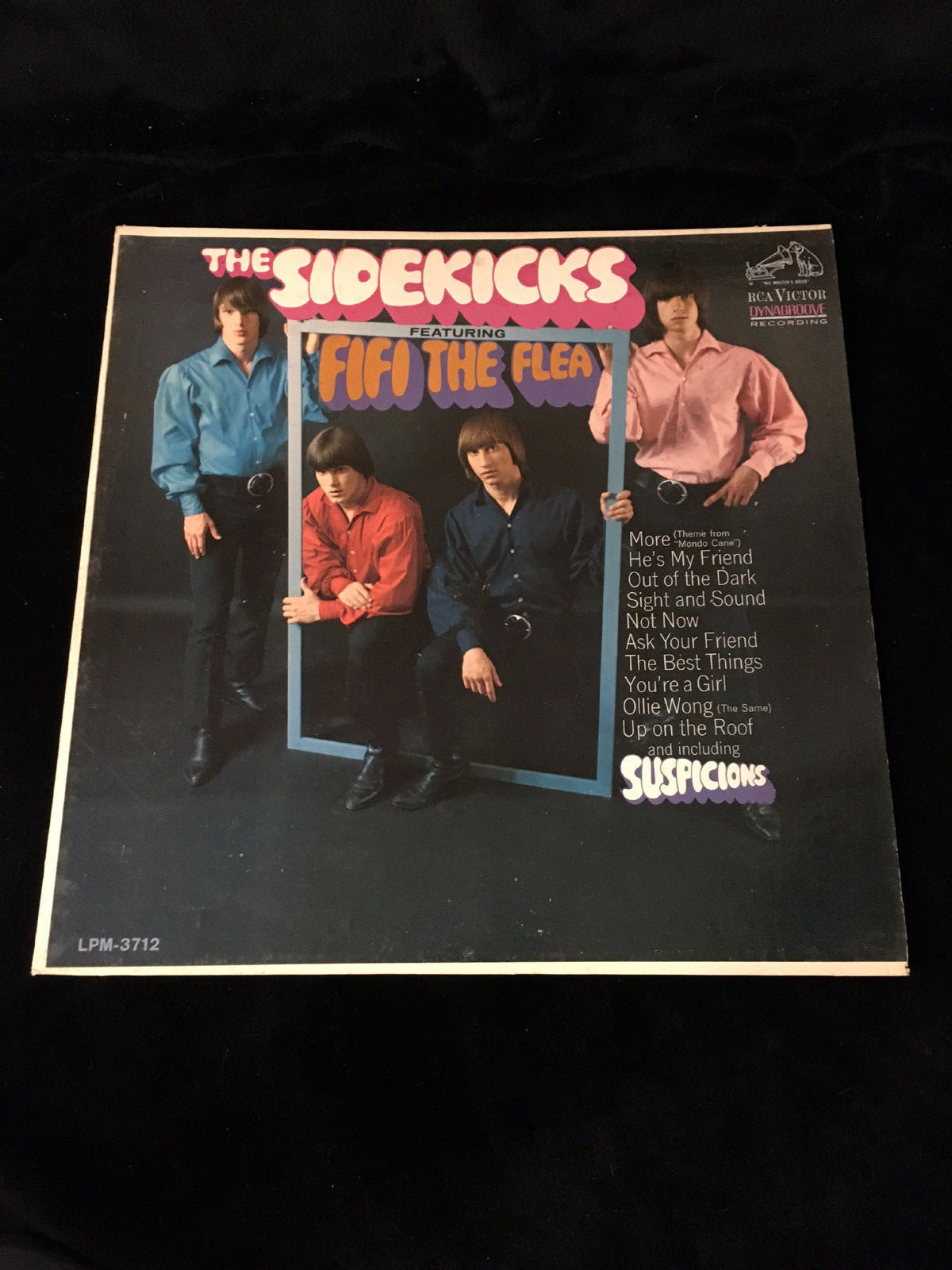 GRAHAM NASH-THE SIDEKICKS UNUSED EASEL BACK COUNTER DISPLAY-FIFI THE FLEA-1966