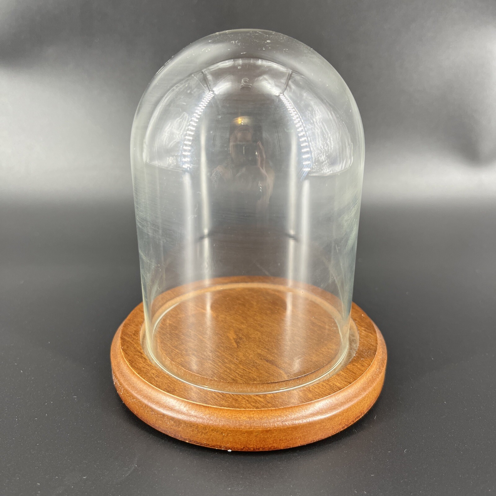 Vintage Glass Dome Wood Base Display Case Made in Taiwan Bard’s