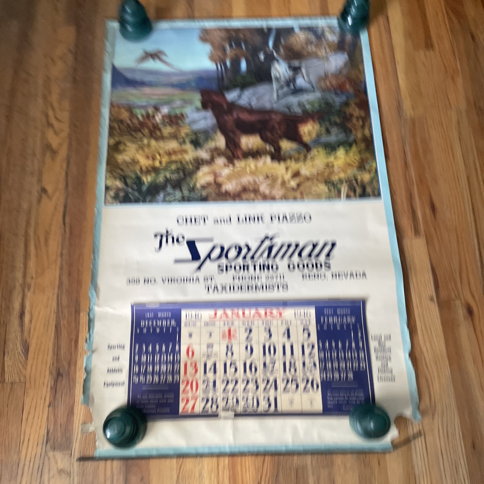 VTG Taxidermy Hunting Gun Store Poster Cal. H. Hintermeister 1946 Sportsman RENO
