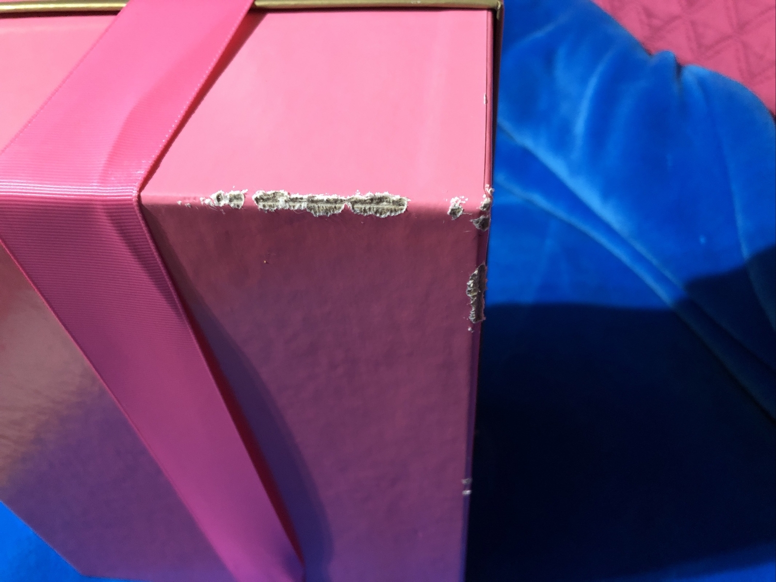 VICTORIA’S SECRET PINK LIMITED EDITION BILLION DOLLAR DOG BOX LETTER RIBBON