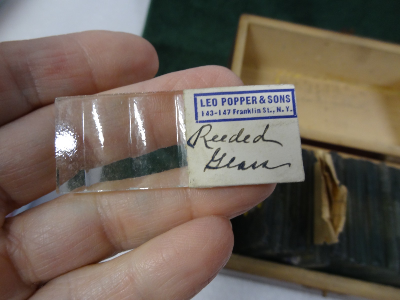 Antique Vintage 1910’s Blue Ridge Glass Corp Salesman Sample Box Kingsport TN