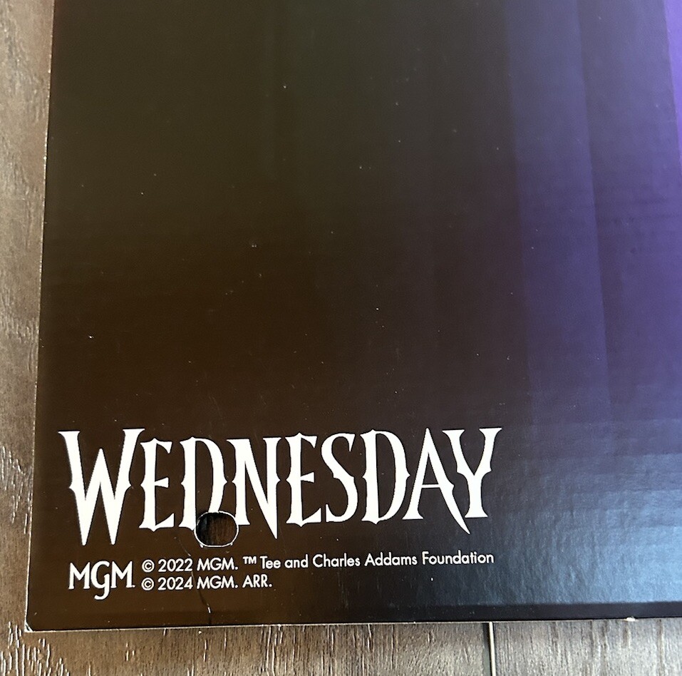 Spirit Halloween Wednesday Adams Family Sign ISE End Cap Display. RARE Horror