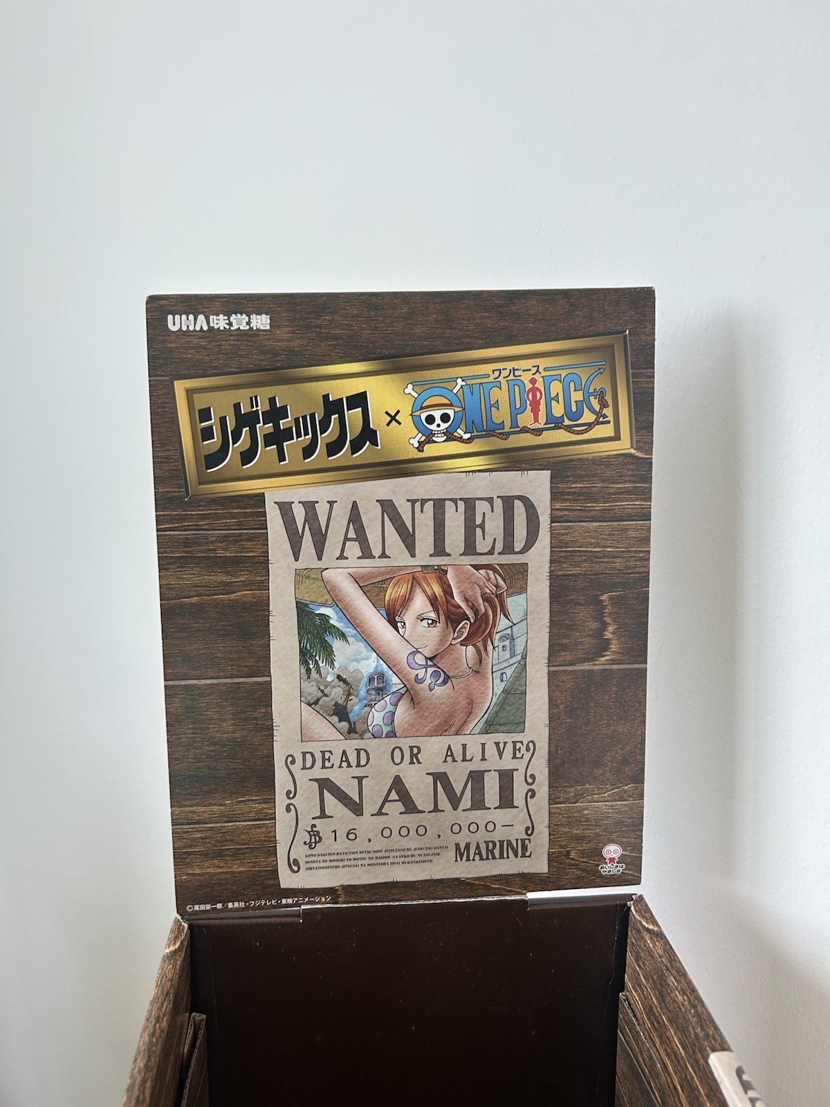 One Piece Store Display