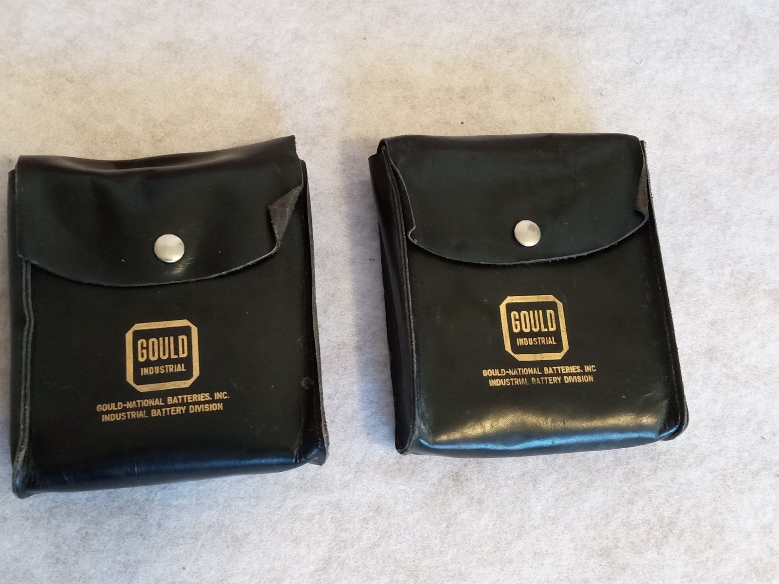 Vintage GOULD Industrial Clear battery Cell Display In Pouches