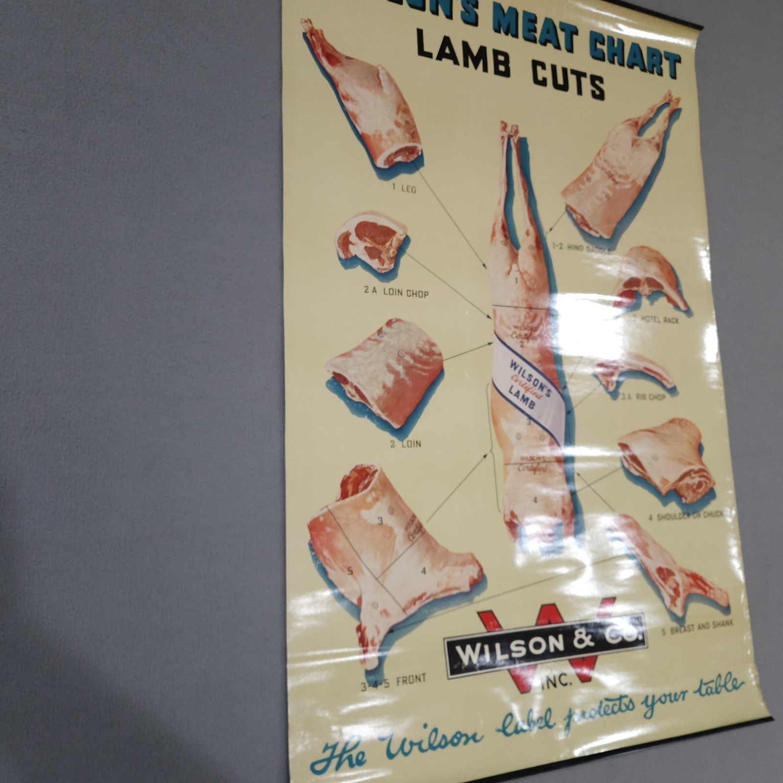 Vintage 1940s Wilson & Co. Lamb Cuts Chart Meat Poster 34½ x 22½