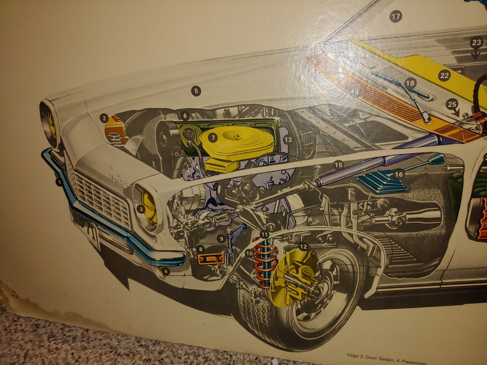Vintage 1970 Huge 60″ x 40″ Chevrolet Vega Dealership Showroom Cardboard Poster