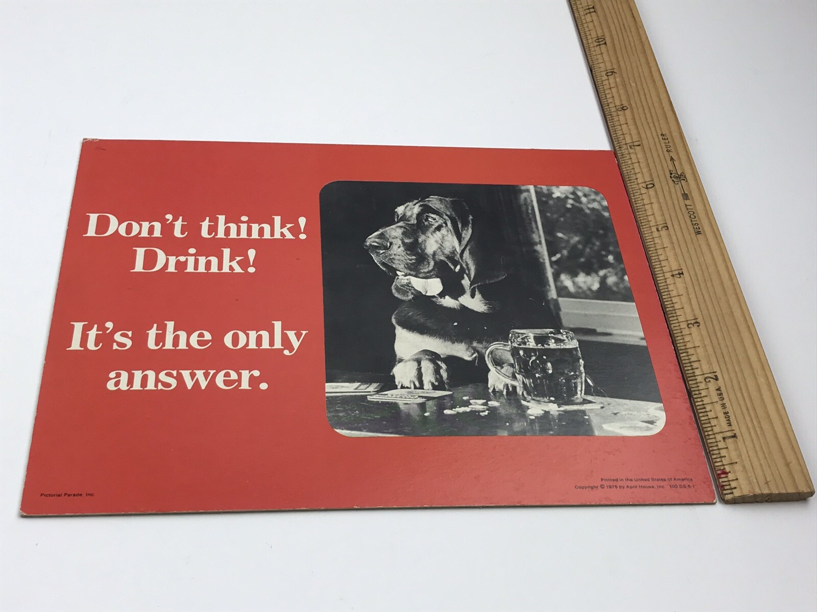 1975 Store Display April House Don’t Think Drink It’s The Only Answer Dog at Bar