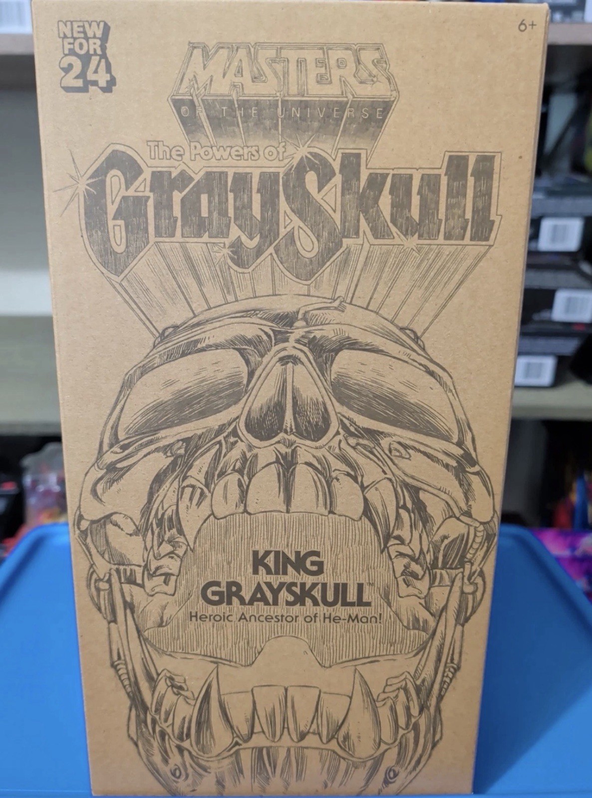 MOTU Eternia with King Grayskull / Moaty and 40th Display Box for figures.