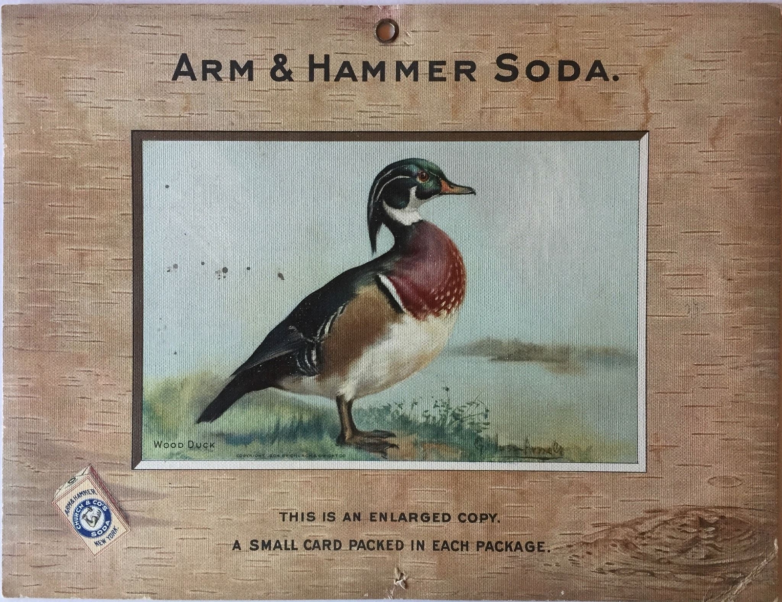 Birds – Arm & Hammer Advertising Store Display Card Sign Wood Duck J3 Game Birds