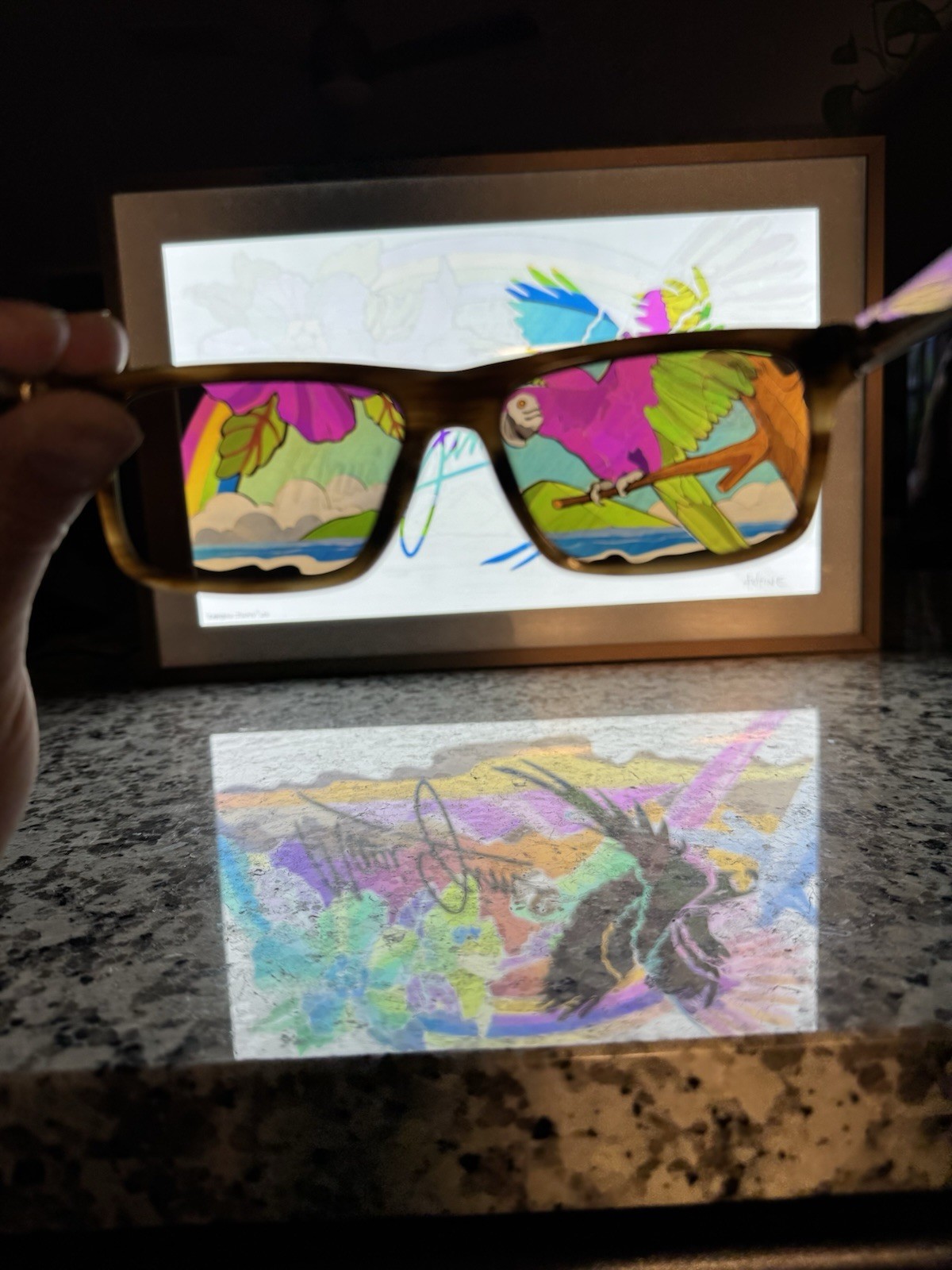 Austine Wood Comarow Maui Jim Display Polarized Light Box Polage 2020 20X13