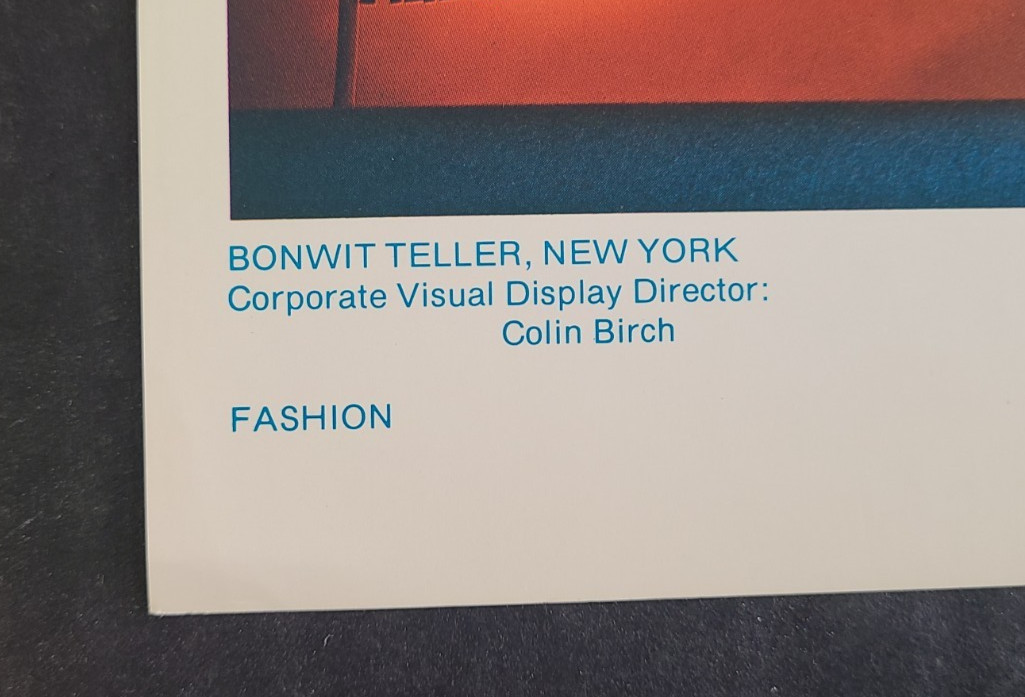 1970s BONWIT TELLER, NY WINDOW DISPLAY PHOTO PRINT HIDING IN BAMBOO