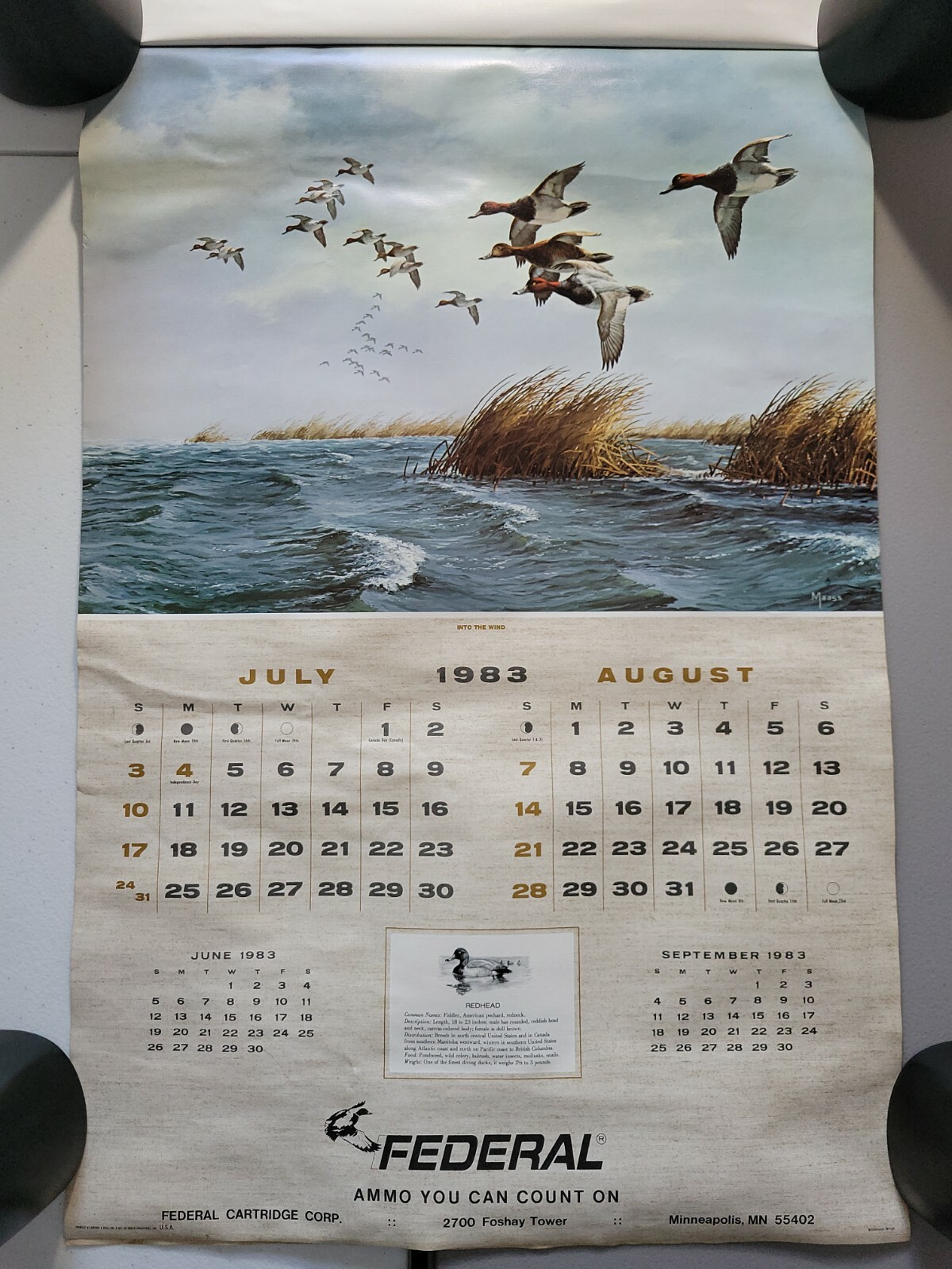 Vintage Federal Ammo Co. Hunting Gun Store Advertising Calender 1983