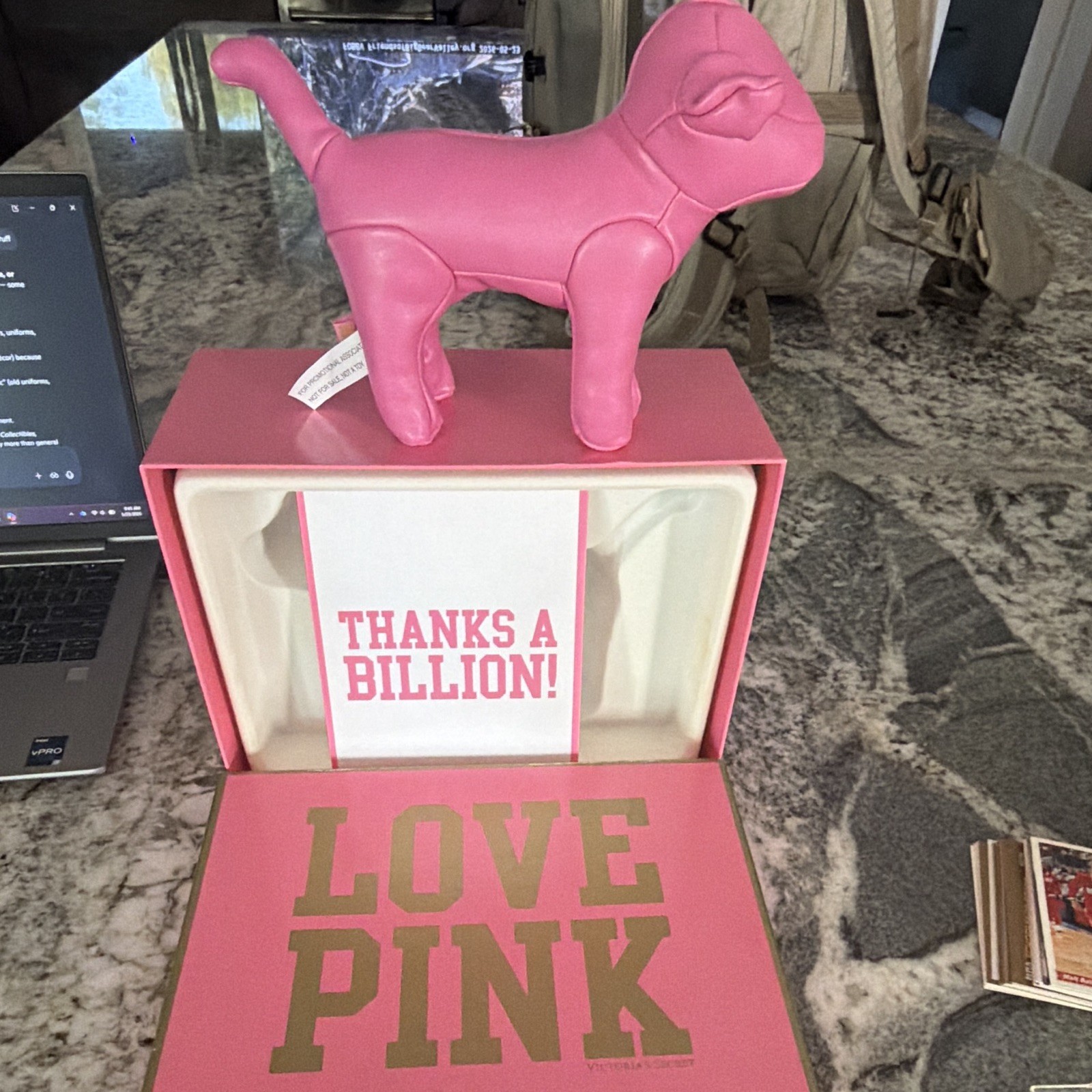 Victoria’s Secret PINK Love Pink Store Display Pink Dog w/ Box Insert Card 2010