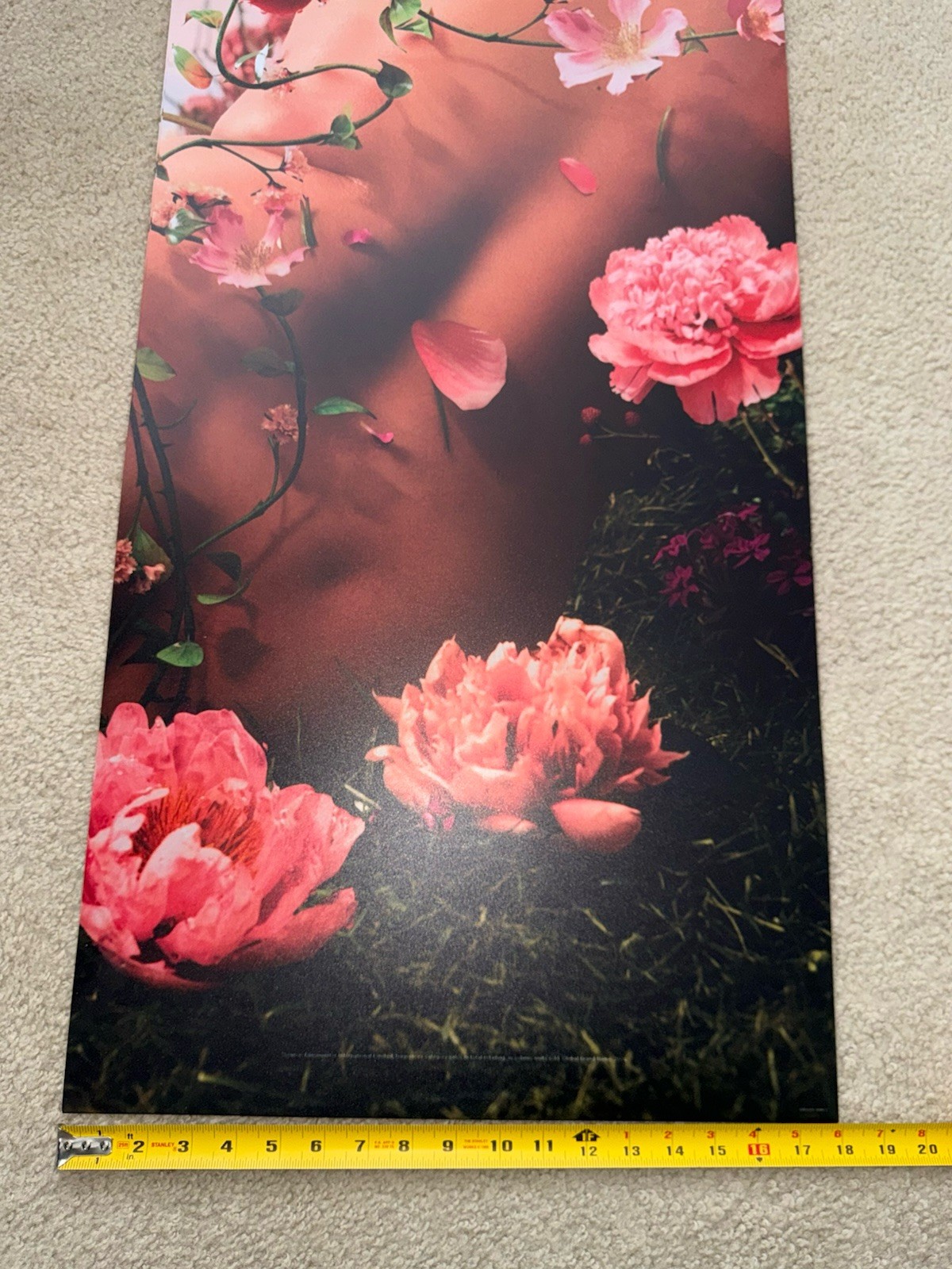 Victoria’s Secret Pink Promo Poster Rare!