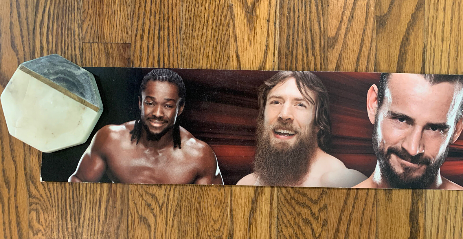 Toys R Us WWE Store Display Strip Shelf Talker 48” X 5 1/4” Cena Bryan CM Punk