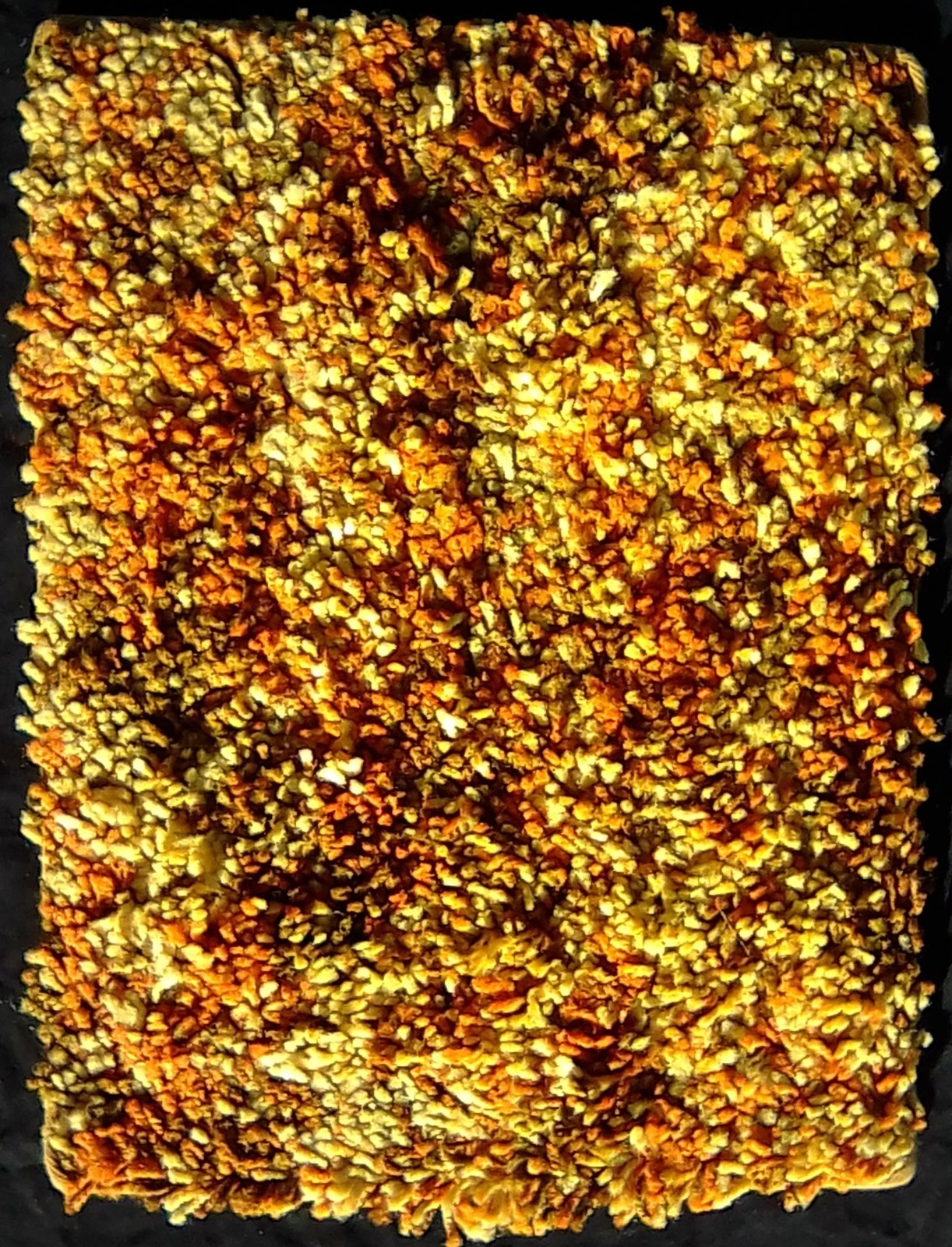 NOS 1970s Laredo Shag Carpet Sample Navajo Sun Orange Gold Retro Swatch 18×14