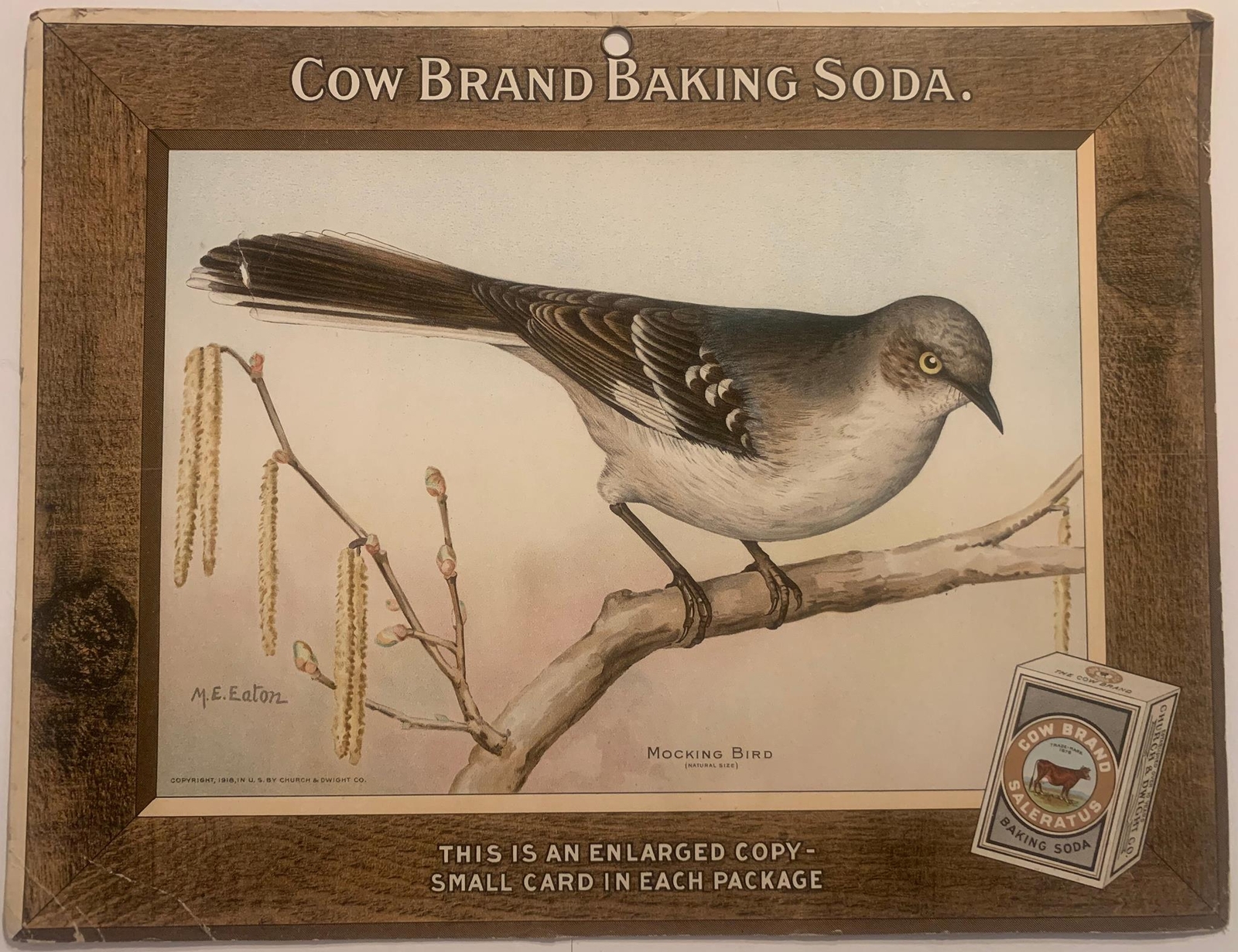 Cow Brand Soda Advertising Store Display Card Sign – Mockingbird J6 Arm & Hammer